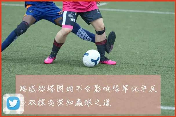 路威称塔图姆不会影响绿军化学反应双探花深知赢球之道