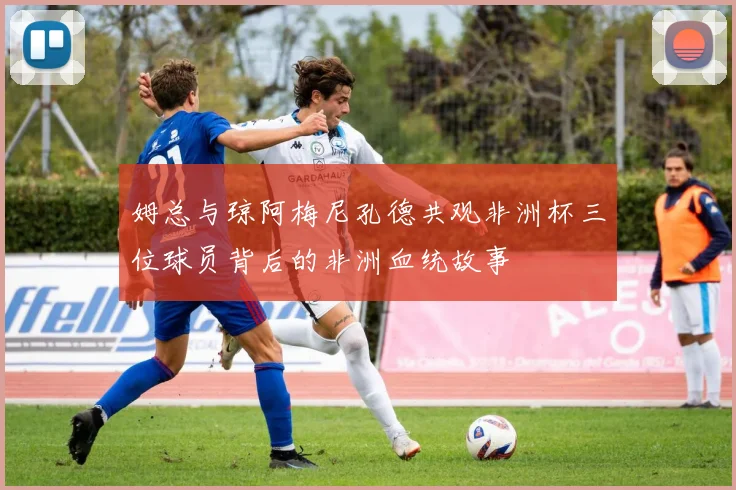 姆总与琼阿梅尼孔德共观非洲杯三位球员背后的非洲血统故事