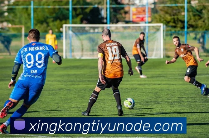 多媒体互动体验